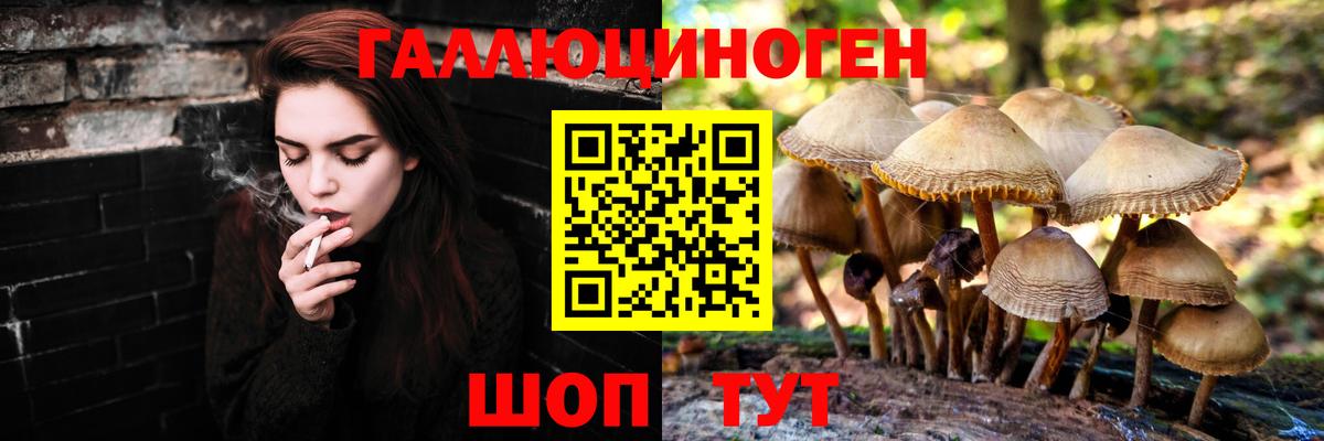 Псилоцибиновые грибы Psilocybine cubensis  Вход с VPN  Апшеронск 